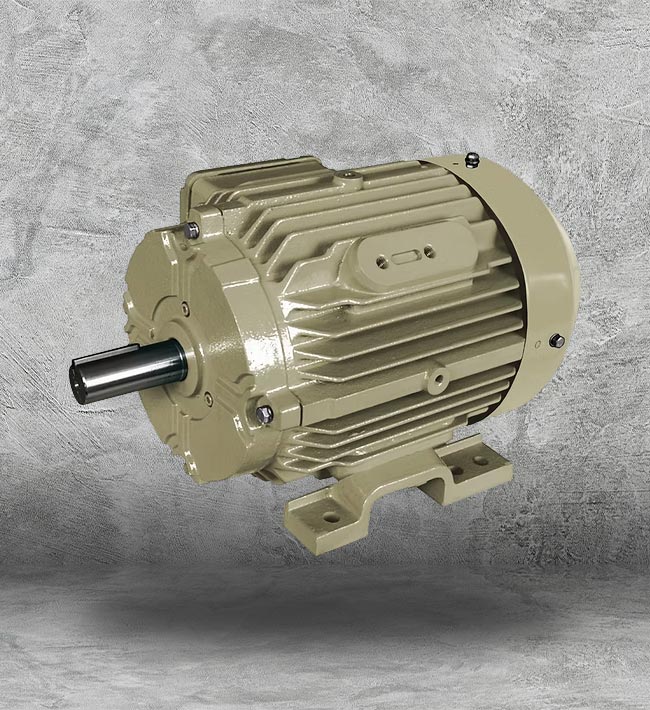 3 Phase Electric Motor in Houston