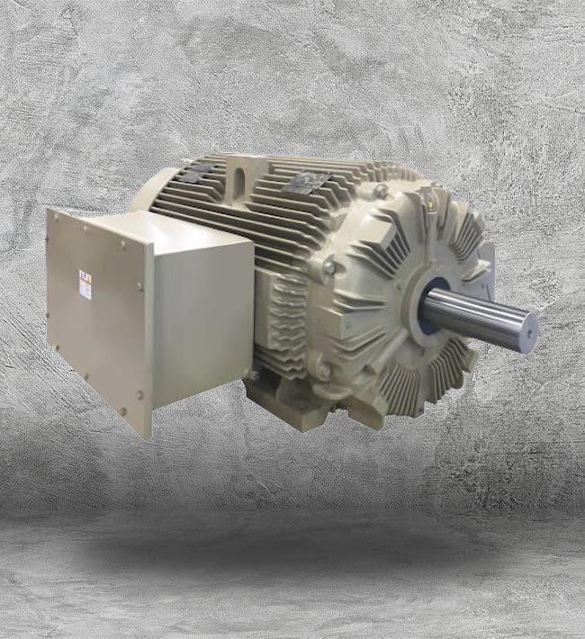 GE Wolong Asynchronous Motor