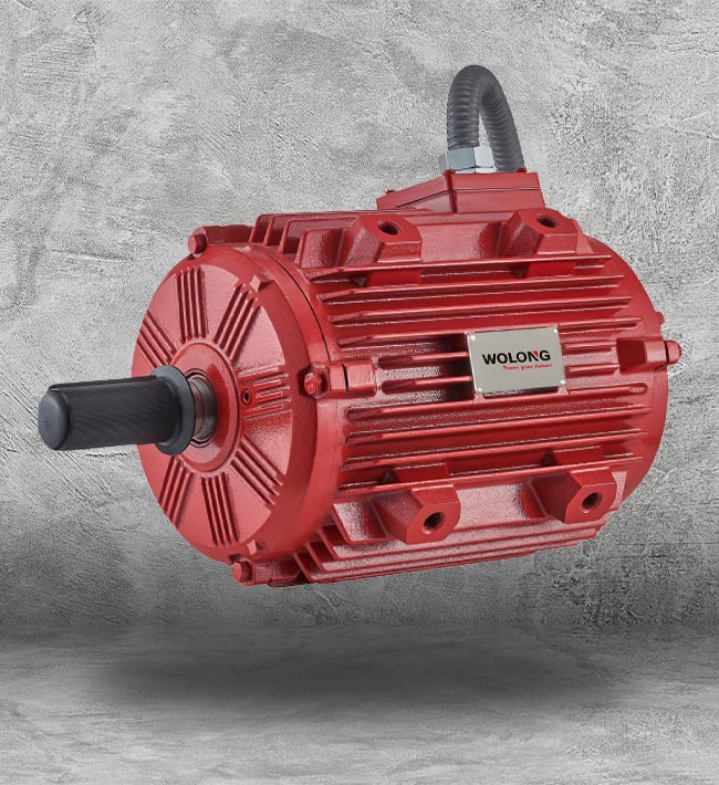 Electric Motor Supplier Houston