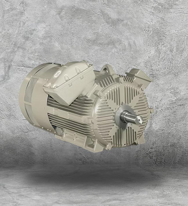 High Torque Electric Motor in Houston