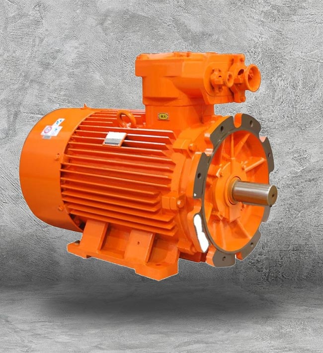 IEC Motors in Houston