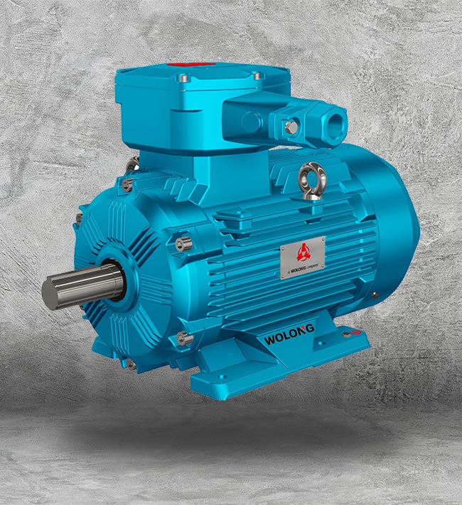 NEMA Motors Houston