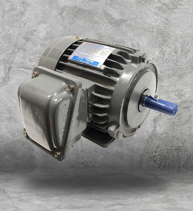 Asynchronous Motor Houston