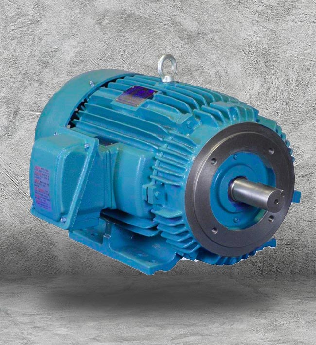 OEM Electric Motor Supplier Near Me