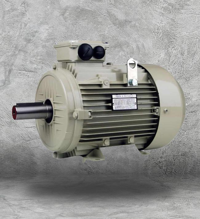IEC Motors Houston
