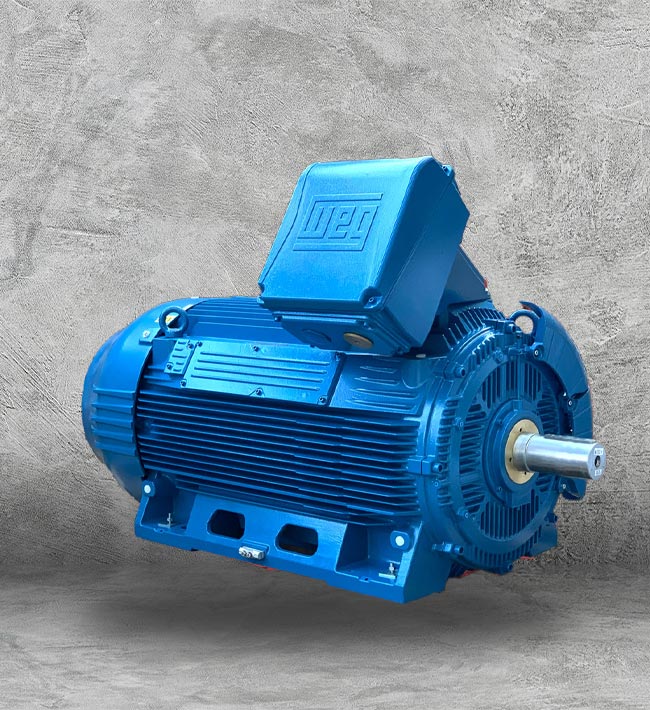 WEG 10 HP Motor