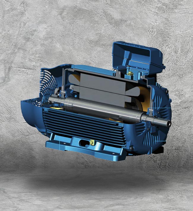 2HP Electric Motor Houston