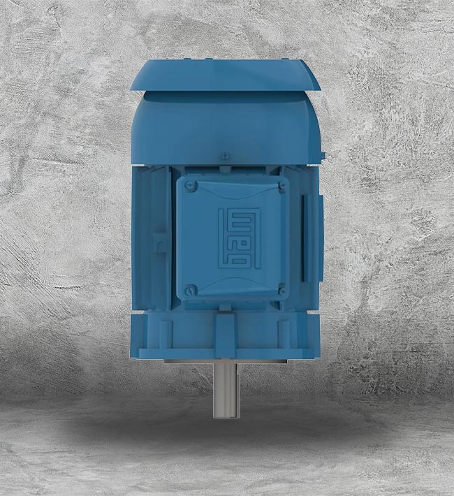 2HP Electric MotorS