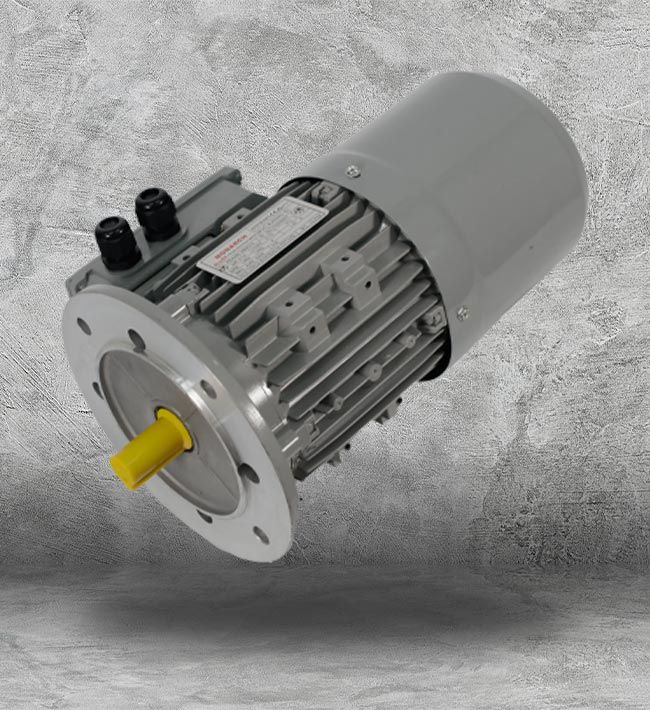 Asynchronous Motor in Houston