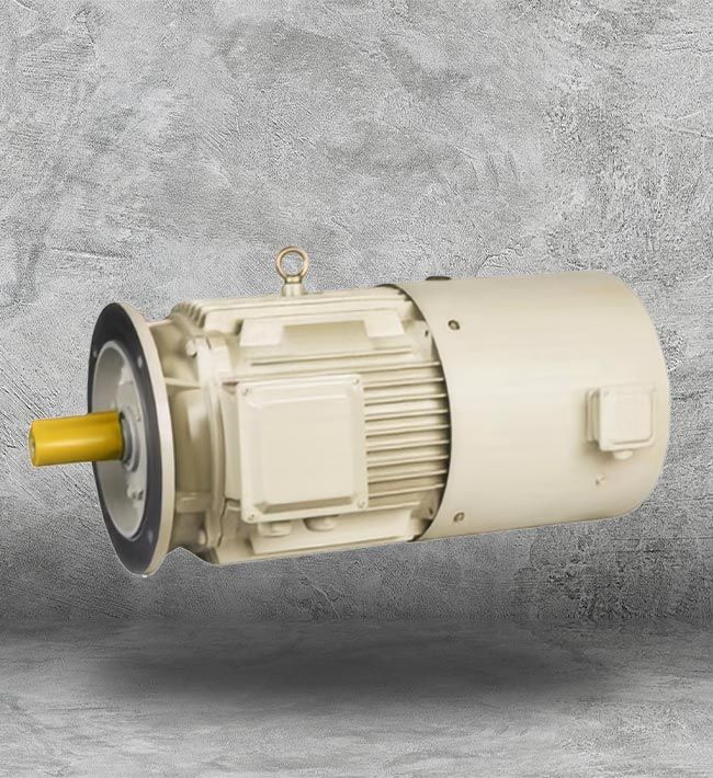 2HP Electric Motor Houston