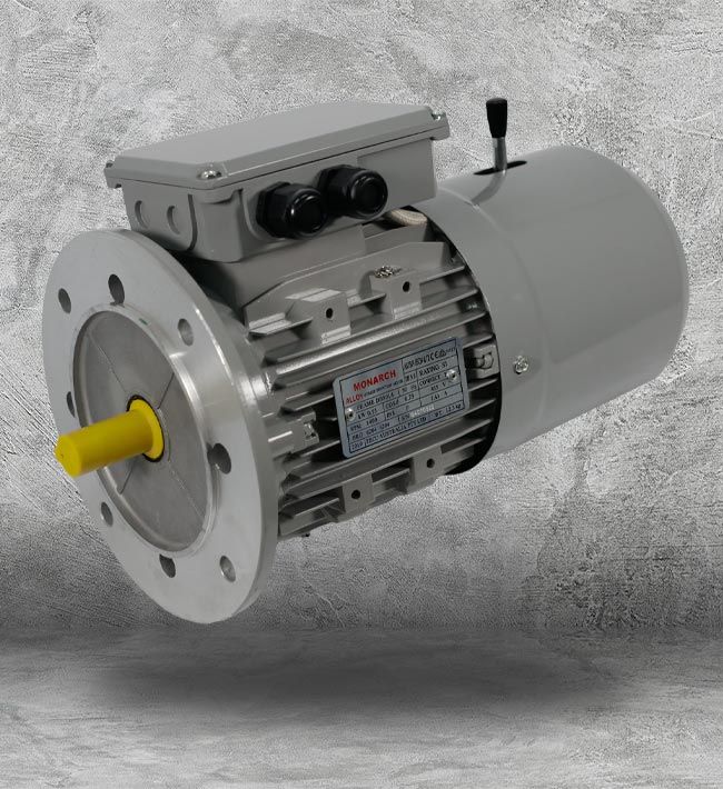 High Torque Electric Motors Houston