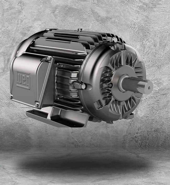 WEG Permanent Split Capacitor
