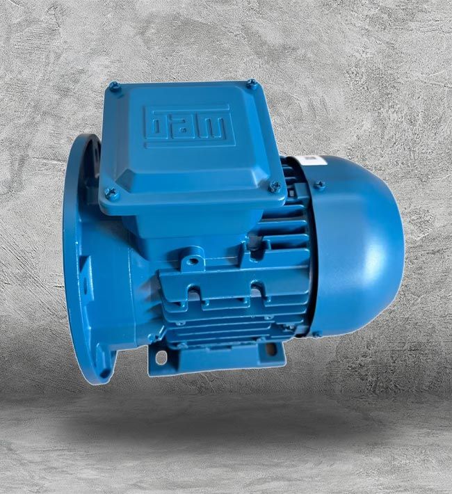 WEG Electric Motors