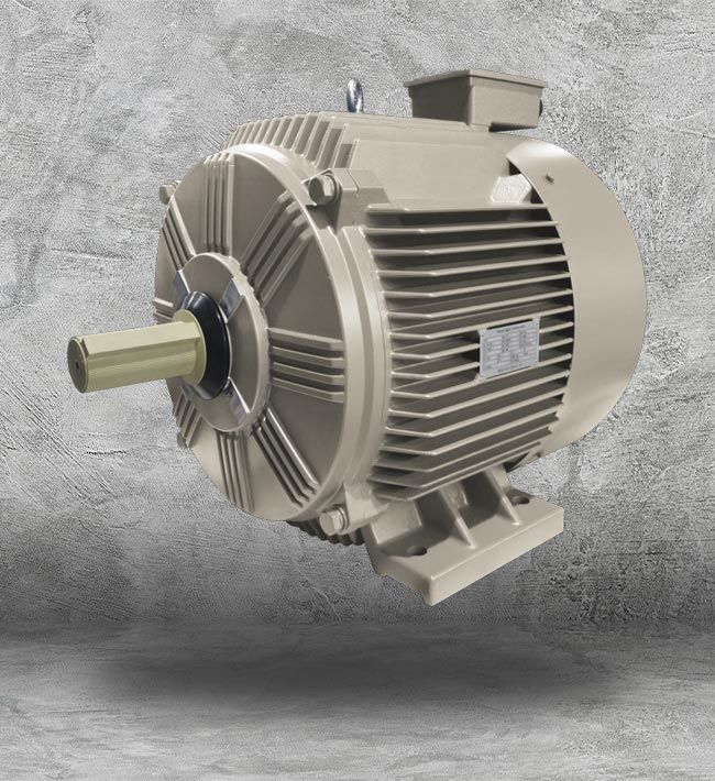 GE Wolong Industrial AC Motor