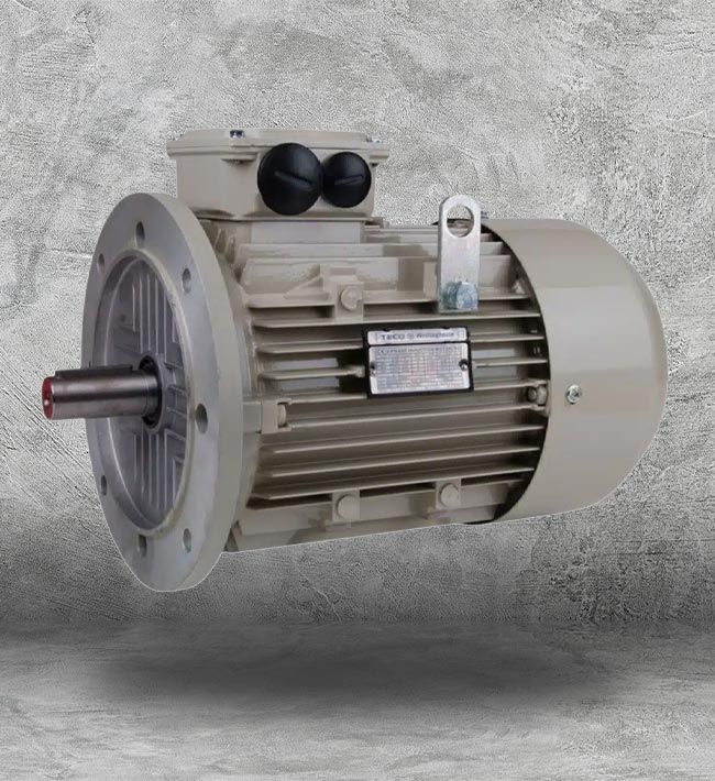 Teco Westinghouse 1 HP Electric Motors