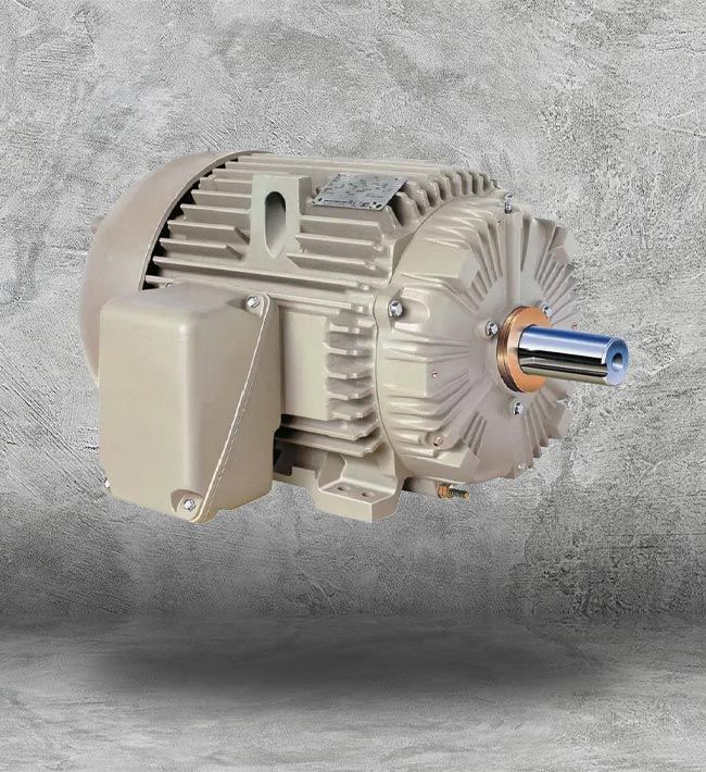 High Torque Asynchronous Motor