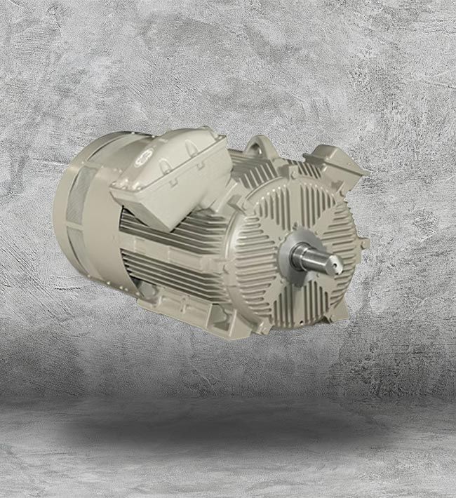 Baldor Electric Motors Houston