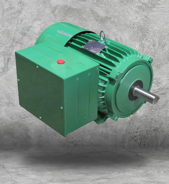 High Torque Electric Motors in Houston