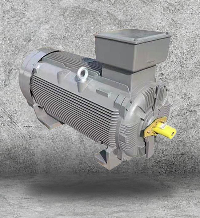 Teco Westinghouse Motors Supplier