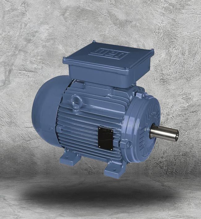 Legacy Westinghouse Motor Upgrade