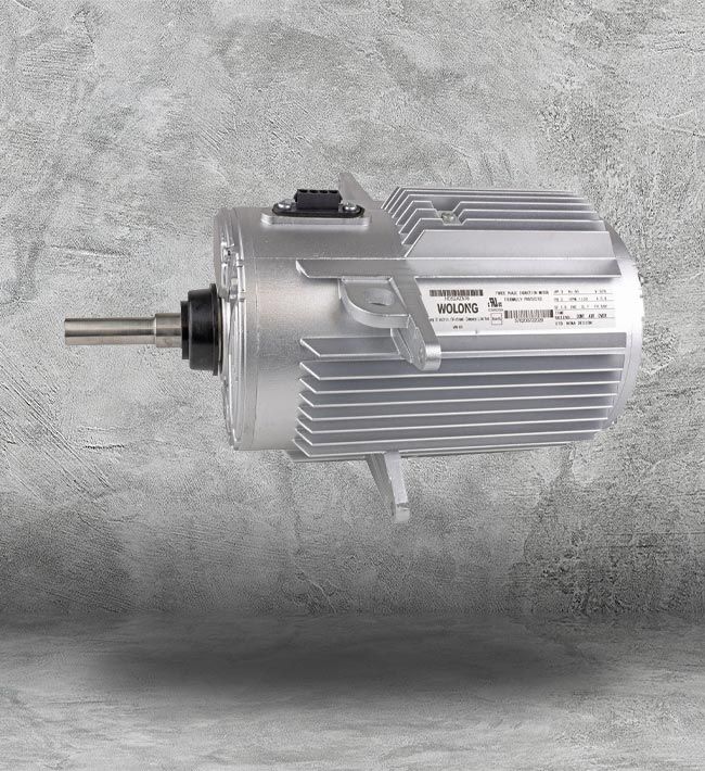 AC Induction Motor Replacement