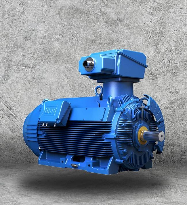 IEC Frame Asynchronous Motor