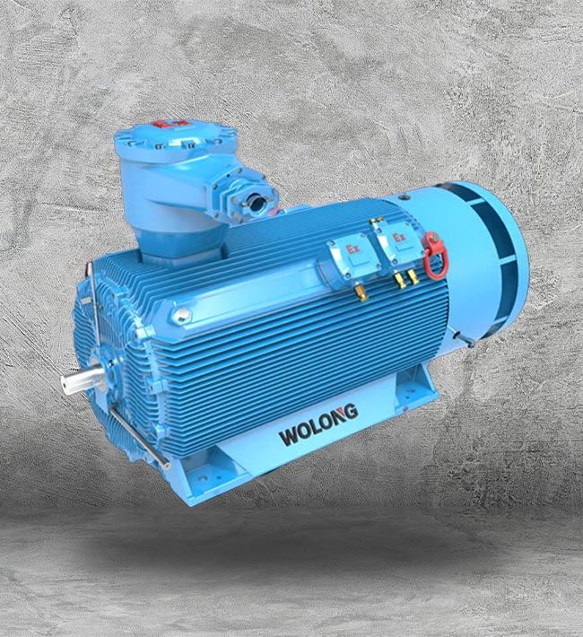 NEMA Motors in Houston